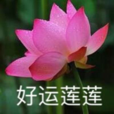 葫芦兄弟七子降妖国际版本下载